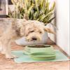 Vigar 3-in-1 Food Bowl for Dogs and Cats, 24.7 x 24.7 x 9 cm, Pets Club, Non-Slip, Green view 2