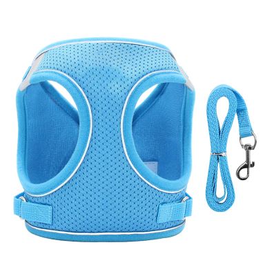 PURRL Sky Blue Polyester Dog Harness, S