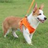 PURRL Sky Blue Polyester Dog Harness, S view 2