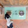 Vigar - Dog Feeding Mat - Pets Club Collection - 60 x 40 x 0.5 cm - Non-Slip and Padded - Green and Black view 2