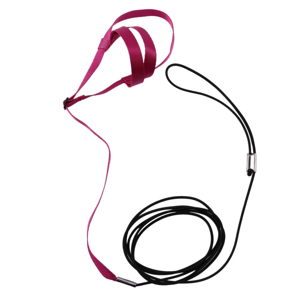 Peukerty Adjustable Parrot Harness and Leash (S)