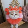 WEITING Adjustable Cat Cone view 2