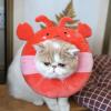 WEITING Adjustable Cat Cone view 3