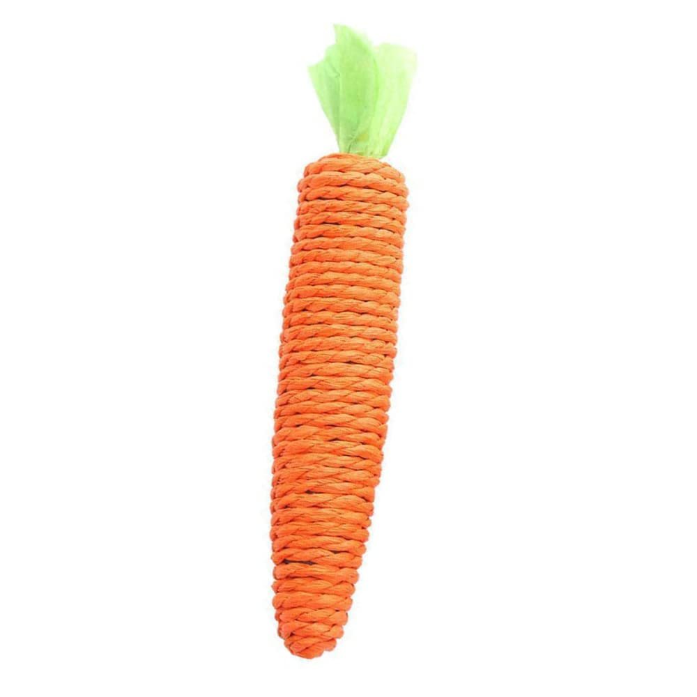 Durable Interactive Dog Chew Toy