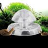 Ericetion Aquarium Fish Tank Plastic Snail Trap view 1