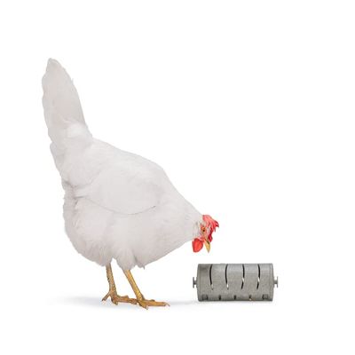 Beeztees Chicken Snack Roller