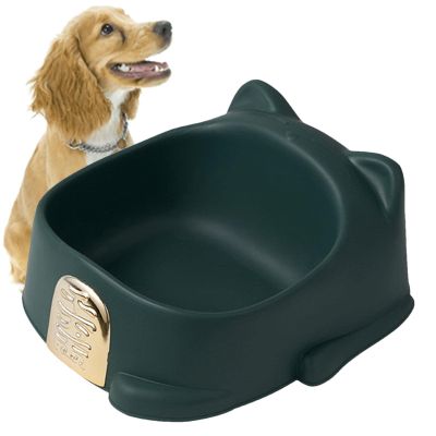 Lucky Car Pet Waterer