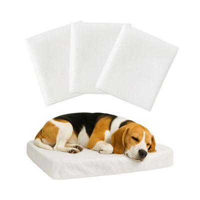 Tailbop Disposable Pet Bed Covers for All Dog and Cat Beds or Mats, Waterproof, Odor- and Dirt-Resistant, 3-Pack (S–M)
