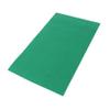 Hohopeti Reptile Mat for Pets view 1