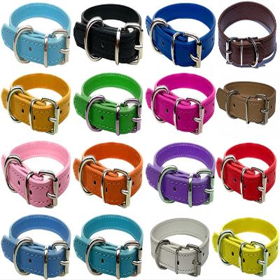 Vibrant Leather Dog Collar for Puppies, Cats, and Dogs