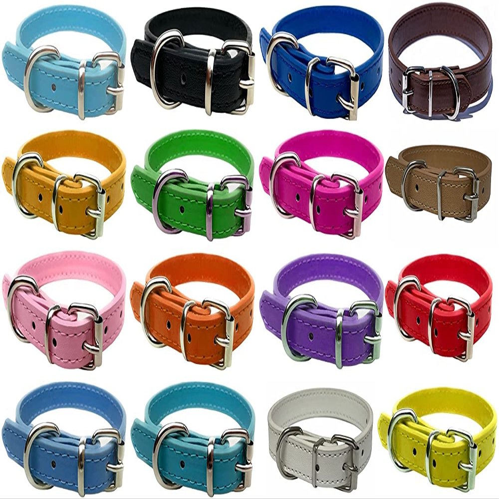 Vibrant Leather Dog Collar for Puppies, Cats, and Dogs