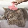 Pet Massage Brush view 2
