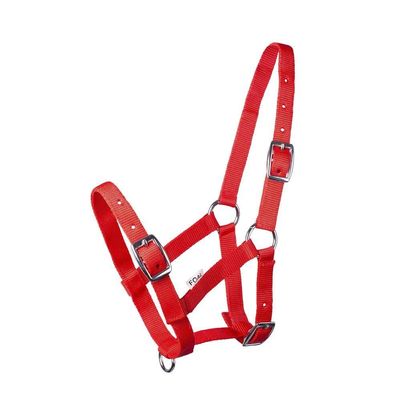 Start ILoveMyMini Foal Halter, Adjustable