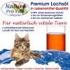 Natura Pro Vita Food-Grade Cold-Pressed Salmon Oil for Cats, Omega-3, 10 L (2 x 5 L) view 3