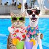 Chunful 50 Pack Summer Dog Bandanas view 4