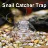 Josenidny 2-Pack Snail Trap for Aquarium view 3
