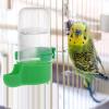 Raxove Automatic Bird Feeder and Water Dispenser view 3