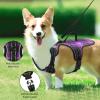 No Pull Dog Harness for Medium Dogs view 4