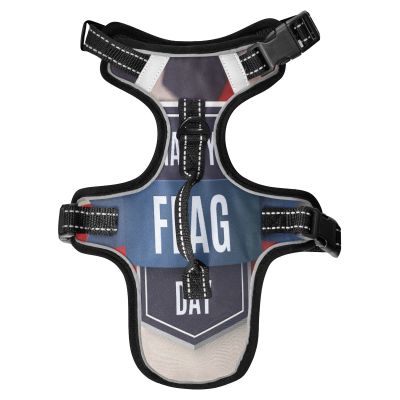 No-Pull Dog Harness with Leash, Adjustable Reflective Vest for Small, Medium, and Large Dogs and Cats