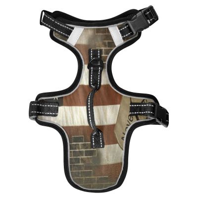 No-Pull Dog Harness for Small, Medium, and Large Dogs