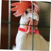Mipcase 4-Pack Adjustable Rooster Collars view 4