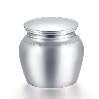 BIAIHQIE Highly Polished Pet Memorial Urn, 43 × 45 mm, Stainless Steel
