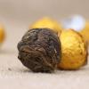500 g Fuding Weier Tea, Aged Shoumei A, 5 g Spring Tea Chocolate Dragon Pearl view 4