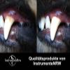 Pet Dental Scaler for Dogs view 2