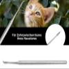 Pet Dental Scaler for Dogs and Cats view 3