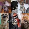 Personalized Engraved Dog and Cat ID Tags view 4