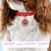 Ibera Gifts - Personalized Dog Tag view 2