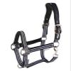Waldhausen Athletic Halter, Asphalt/Black, Pony view 1