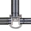 Waldhausen Athletic Halter, Asphalt/Black, Pony view 2