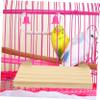 POPETPOP Parrot Wooden Perch Platform view 3