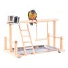 Bird Activity Center with Stand, Ladder, Hammock and Feeder for Cockatiels and Parrots view 1