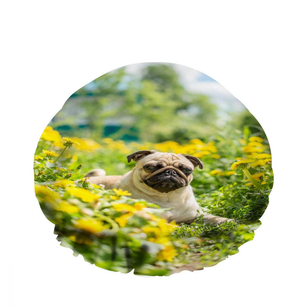 Double-Layer Waterproof Shower Cap, Pug Lie Light Yellow Carpe Grass Flower Sky, Reusable Fashion Shower Hat for Women