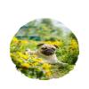 Double-Layer Waterproof Shower Cap, Pug Lie Light Yellow Carpe Grass Flower Sky, Reusable Fashion Shower Hat for Women view 1