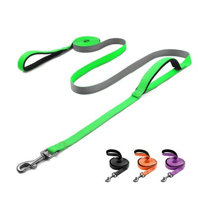 Demigreat Dog Training Leash