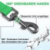 Demigreat Dog Training Leash view 4