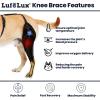 LufeLux Dog Knee Brace with Harness and Connecting Strap, Lightweight and Stretchable, Support for Torn ACL Hind Legs and Luxating Patella, Reduces Arthritis Pain and Inflammation (Medium) view 2