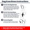 LufeLux Dog Knee Brace with Harness and Connecting Strap, Lightweight and Stretchable, Support for Torn ACL Hind Legs and Luxating Patella, Reduces Arthritis Pain and Inflammation (Medium) view 4