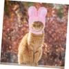 Mipcase 2-Piece Pet Hat Set for Dogs and Cats view 3