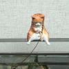 Cute Fishing Cat Statue Ornament view 2