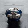 Pet Urns for Ashes, Small Urns for Human Ashes, Keepsake Glass, Decorative Urns for Adults, Children and Pets, Memorial Mini Urns for Home view 2
