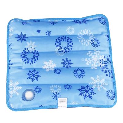 Cooling Ice Pillow, Water-Filled (36 x 36 cm)