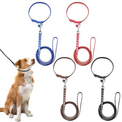 FANTESI 4-Pack Puppy Collar and Leash Set