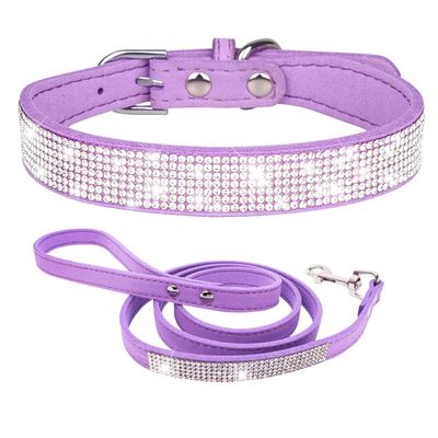 Dog Collar for Small Dogs with Leash