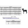 Dog Collar for Small Dogs with Leash view 2