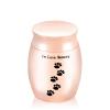 Human Ashes Urn for Family Memorial Pet Dog, Bird or Cat, Mini 30 x 40 mm, Silver view 4