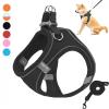 Pet Dog Harness and Leash Set, Reflective Breathable Adjustable Comfort Puppy Harness for Outdoor Travel (Blue, L) view 2